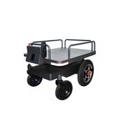 Following Robot - Shadow Standard Version