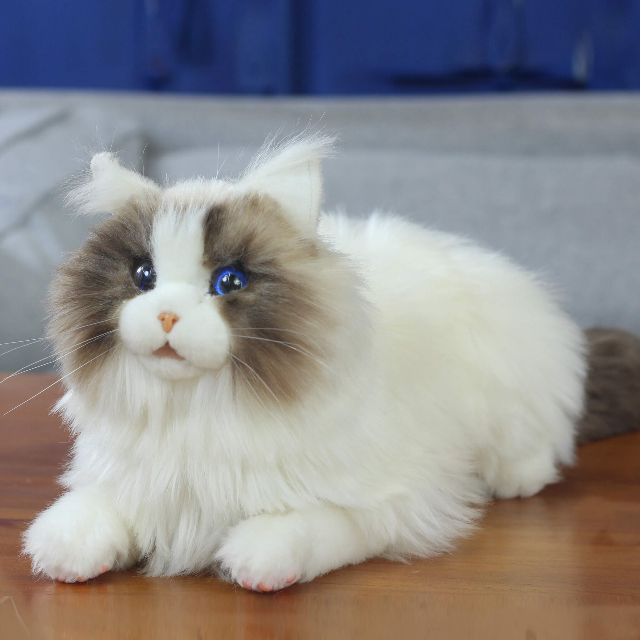 Elephant Robotics metaCat: Gift The Purr~Fect Companion Robotic Pet Cat Persian