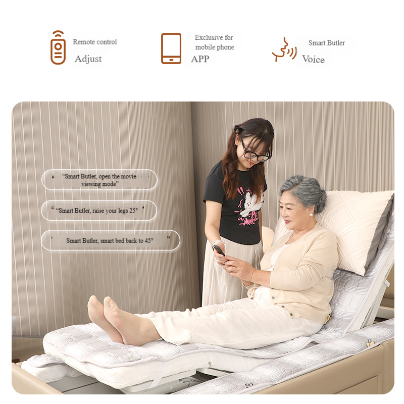 DU BANG Luxury Voice-Activated Intelligent Flushing, Washing and Drying Wheelchair Bed