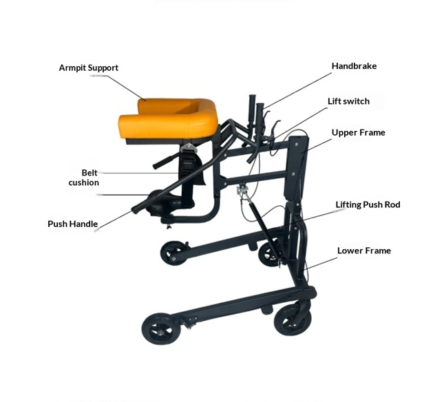 Upright Rehabilitation Walker with Adjustable Forearm Support