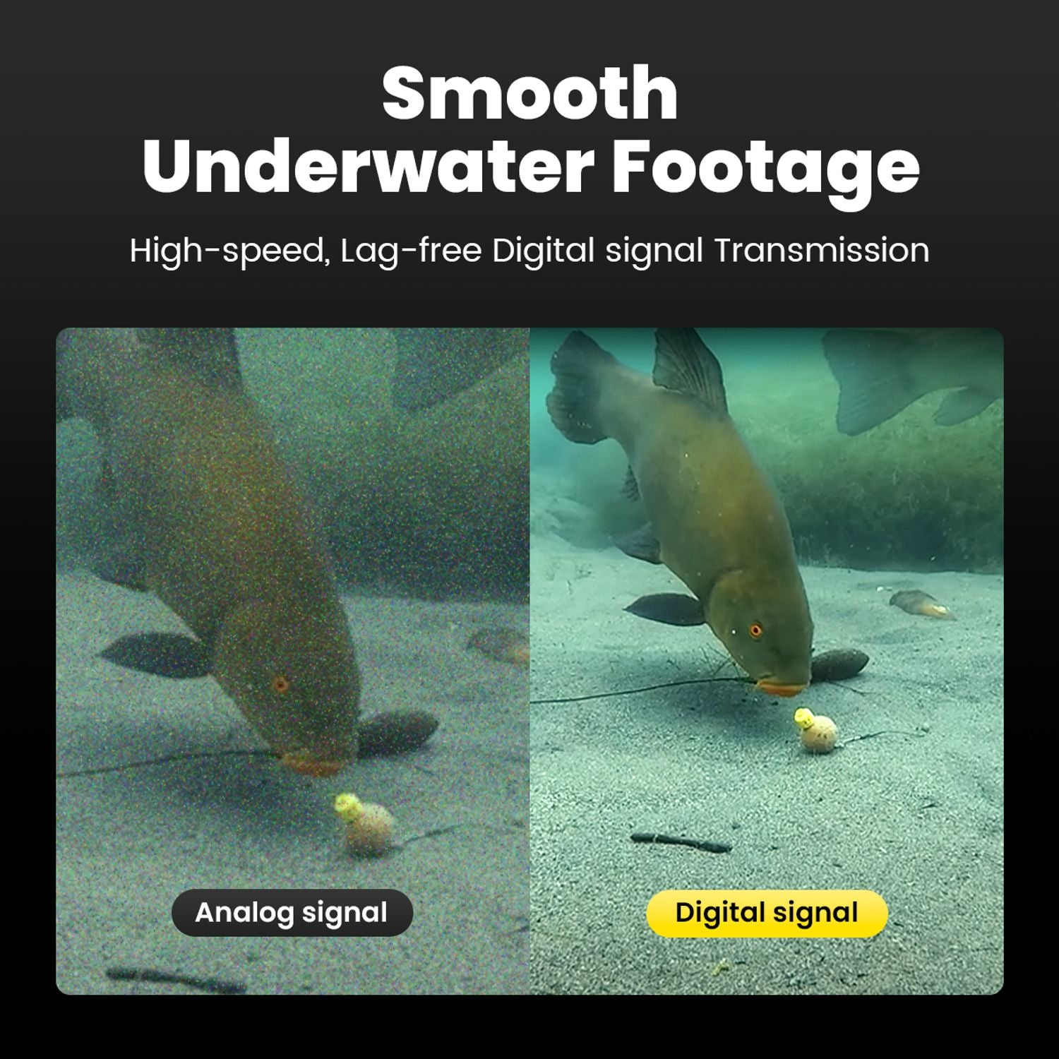 CanFish CF1 Artificial Intelligence Underwater Fishing Camera -1080P HD Fish Finder, Supports App Control