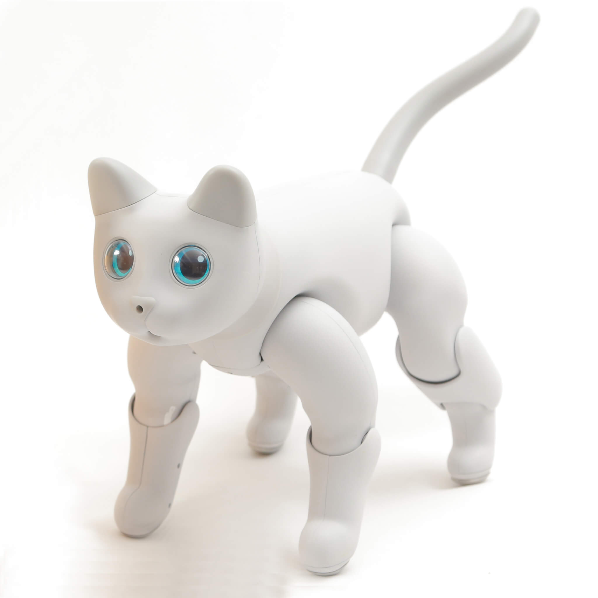 MarsCat: A Bionic Pet Cat, Home Robot Cats