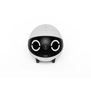Enabot ROLA Mini Companion Robot