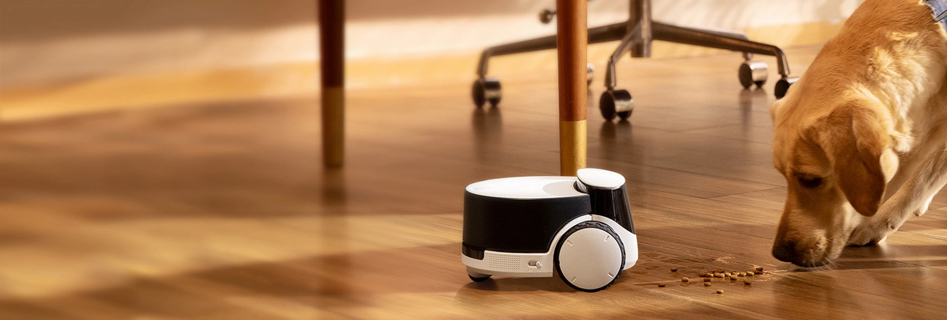 Enabot Rola Pet Companion Robot