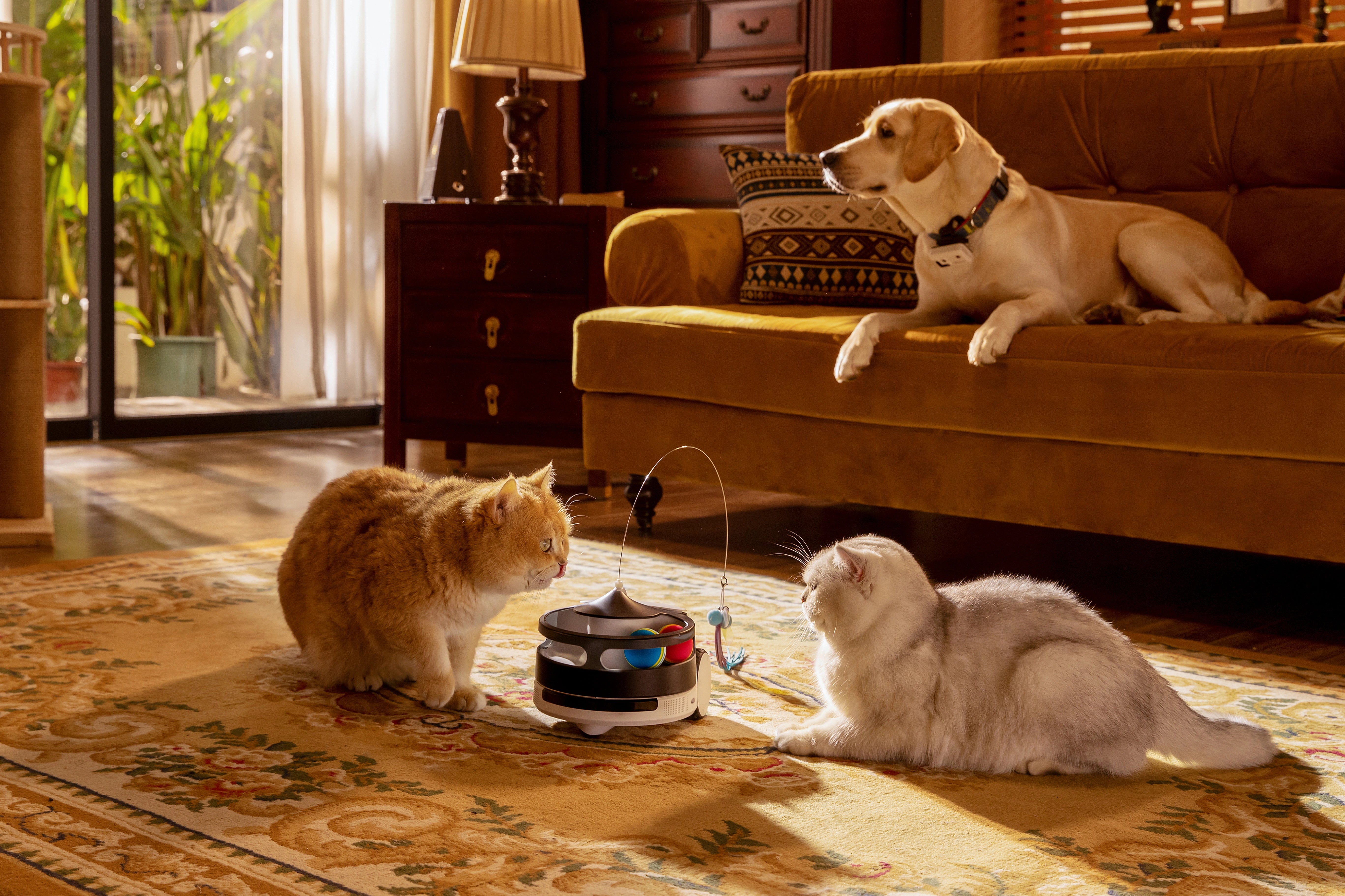 Enabot Rola Pet Companion Robot