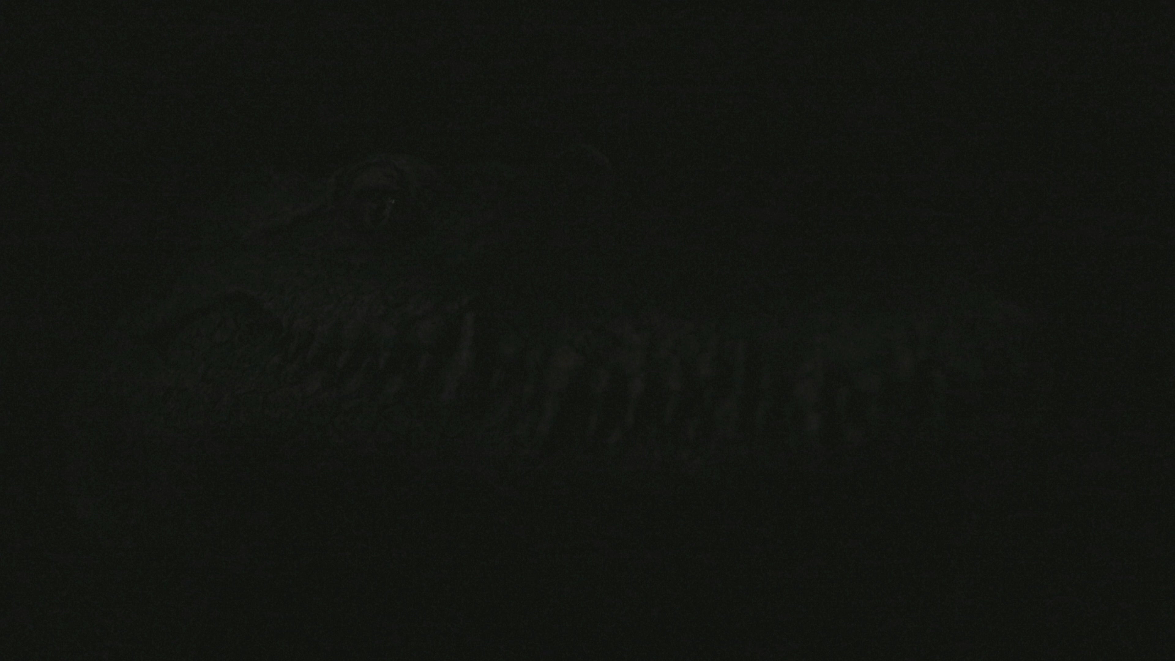 Load video: V005 Water Playable Simulation Crocodile Boat with Long-Lasting Battery, Kids' RC Toy Boat for Prank &amp; Trick